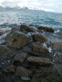 rocks in Resurrection Bay, Seward, copyright 2005 by Leon Unruh